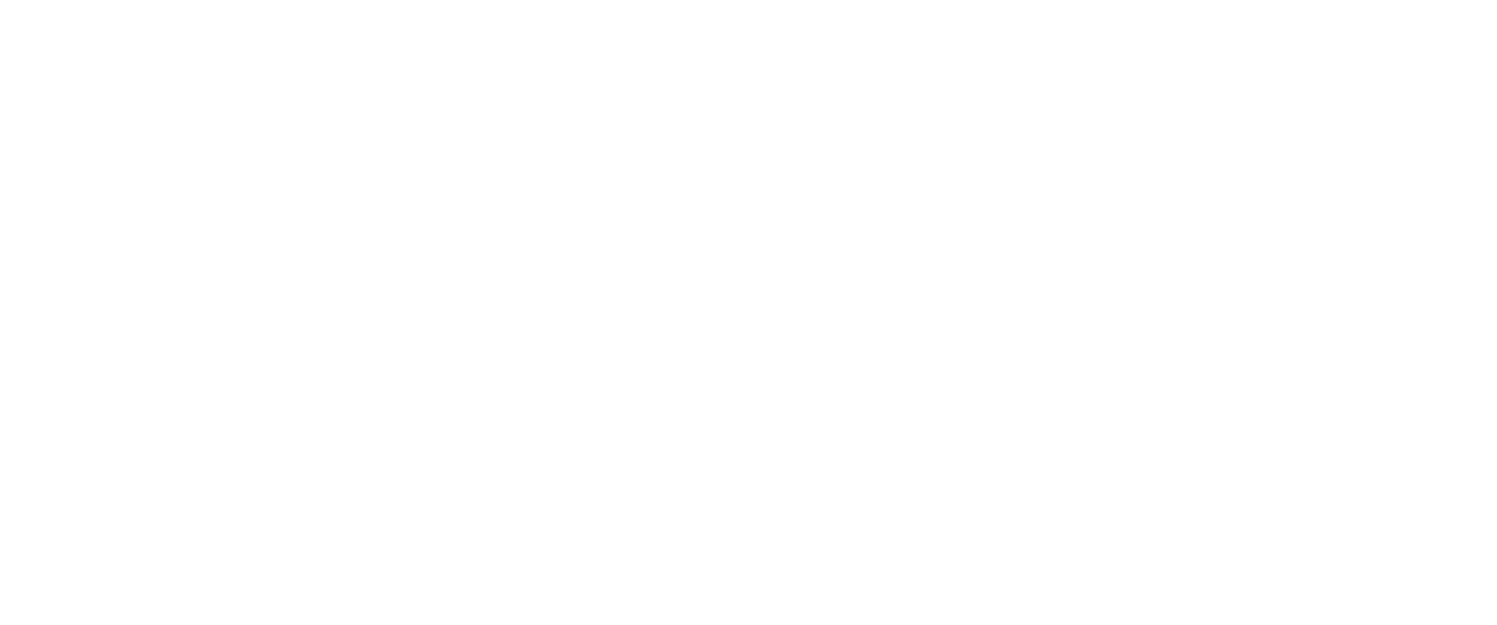 Momentum Multiply Blog