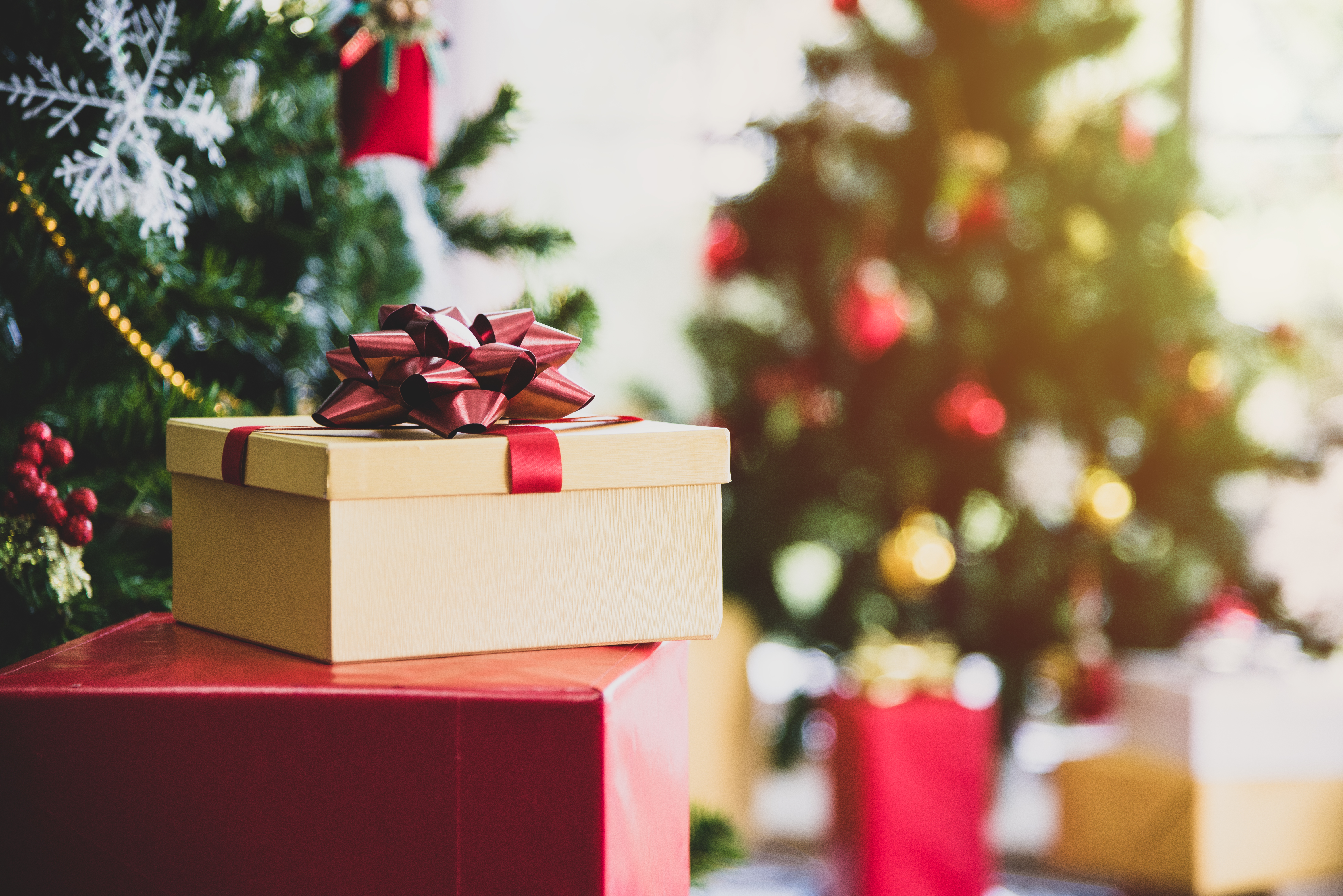 Making the most of your Momentum Multiply membership this festive season