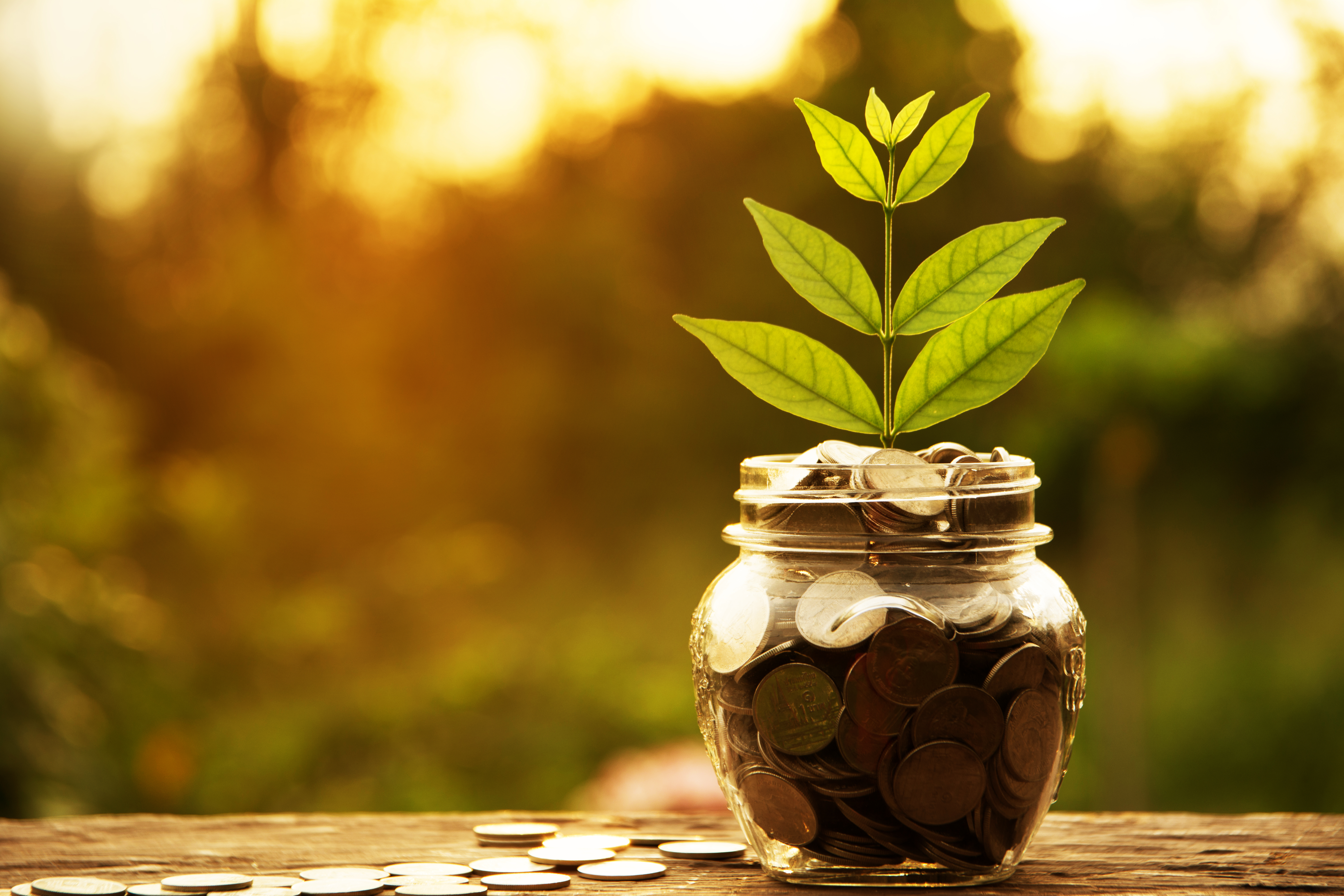 Practical money-saving tips