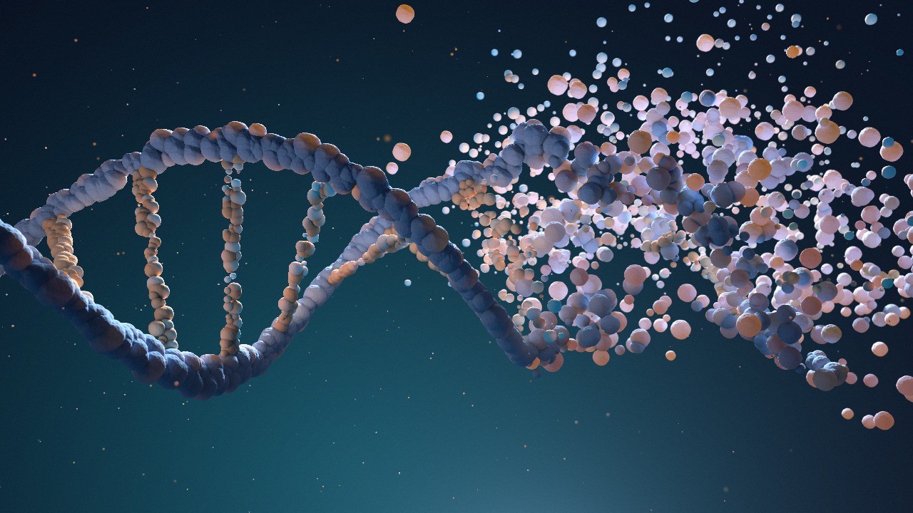 How DNA testing is the blueprint to personalised health